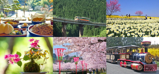 春スペシャル！スイセン・桜に芸備線など、花盛りの日帰り備北旅