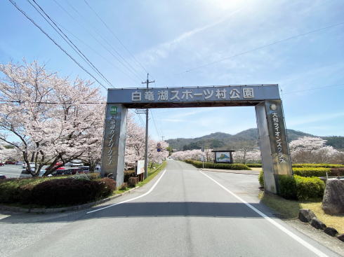 三原・白竜湖 桜の風景 写真7