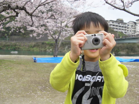 錦帯橋 桜の時期の様子