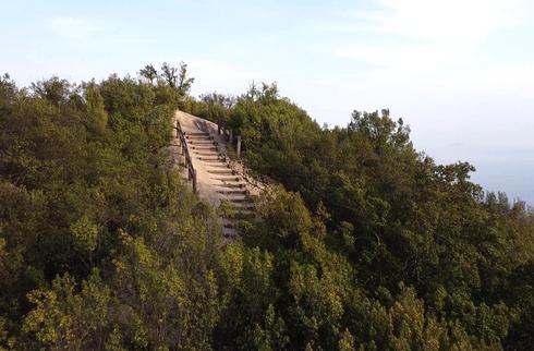 王城切石山公園の展望台へ向かう、山道の階段