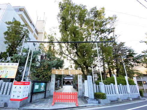 広島市中区 空鞘稲生神社 俯瞰画像 大きなクスノキ