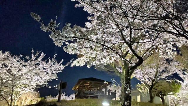 筆影山の展望台と夜桜ライトアップ