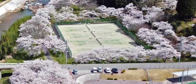 白竜湖スポーツ村公園のテニス場