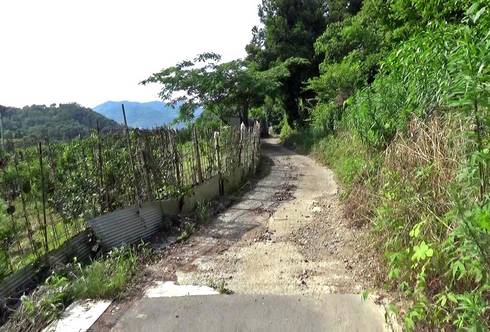 高根島灯台　道のり02