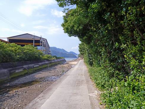 高根島灯台　道のり03