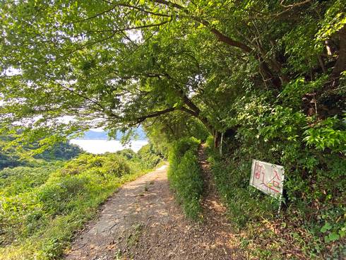 高根島灯台　道のり05