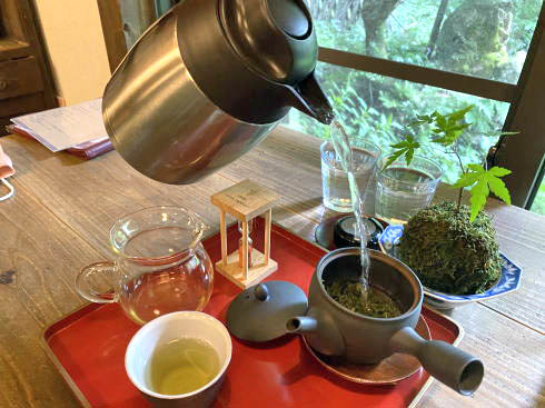 世羅のカフェ 雪月風化 福智院 煎茶