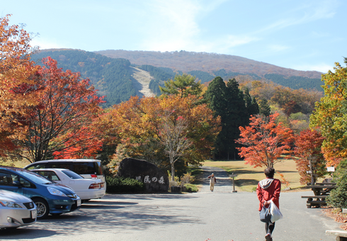 ひろしま県民の森　紅葉の風景