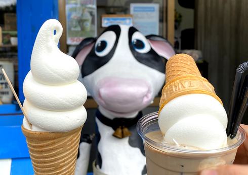 広島・モーモーミルクの濃厚ソフトクリーム