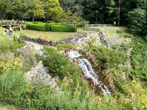 堂々公園の彼岸花、福山市神辺の日本庭園風公園