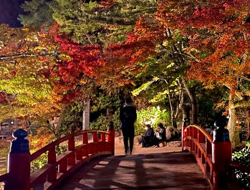 宮島で紅葉のライトアップ2021年も開催へ