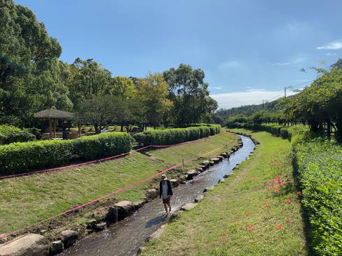 堂々公園　川で遊ぶ様子