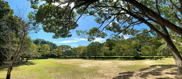 堂々公園　木々に囲まれた広場