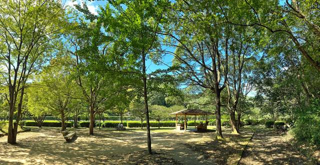 堂々公園　木々の中にある休憩所