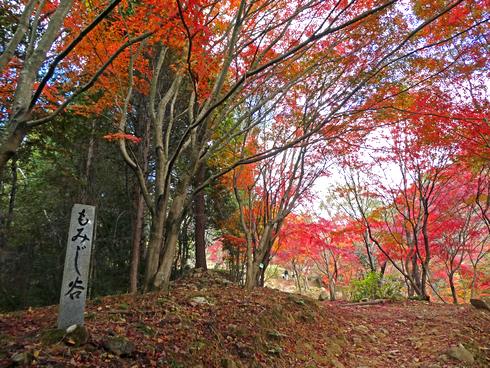 東広島市 憩いの森公園「もみじ谷」の紅葉 画像10