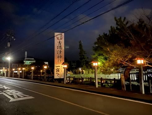 福山・吉備津神社の大銀杏が期間限定ライトアップ