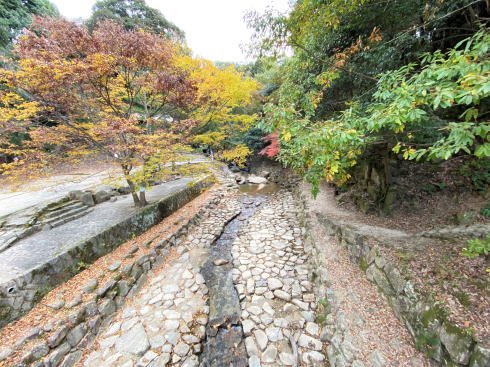 広島 水分峡森林公園 紅葉