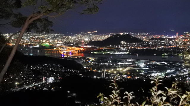 広島県安芸区矢野 愛宕神社からの夜景1