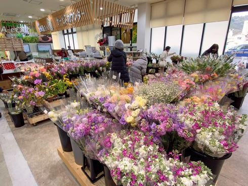 とれたて元気市 広島店、季節のお花も豊富に揃う