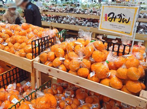 とれたて元気市 広島店、柑橘など旬の果物