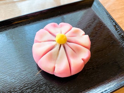自宅で和菓子がつくれる！生菓子「桜」の体験キット、高木が販売