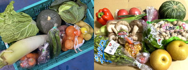 広島・ドライブスルー市場で人気の「おまかせ野菜セット」