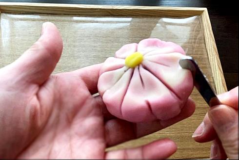 御菓子所高木の「おてづくり生菓子 -桜-」和菓子づくり体験レビュー
