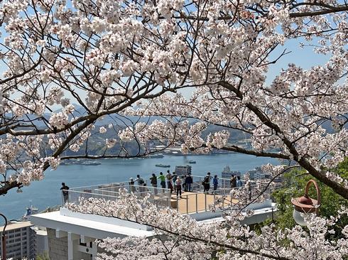 尾道城跡の展望台「視点場」と満開の桜