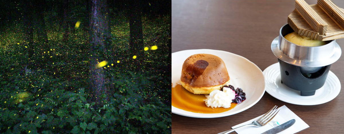ホタルがキラキラと乱舞する広島の夏の絶景スポットへ！羽釜で焼いたパンケーキも