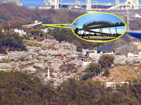 鳴滝山展望台から見た千光寺公園展望台と桜の風景