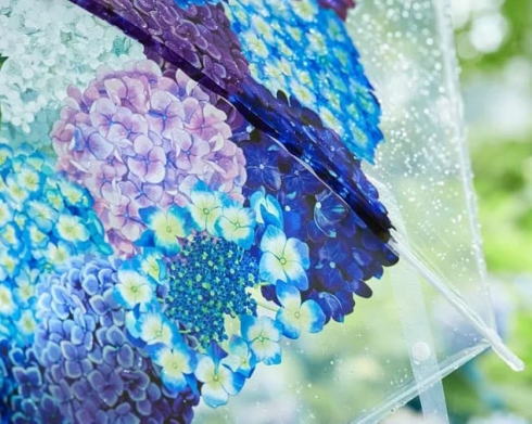 フェリシモ 紫陽花の傘2