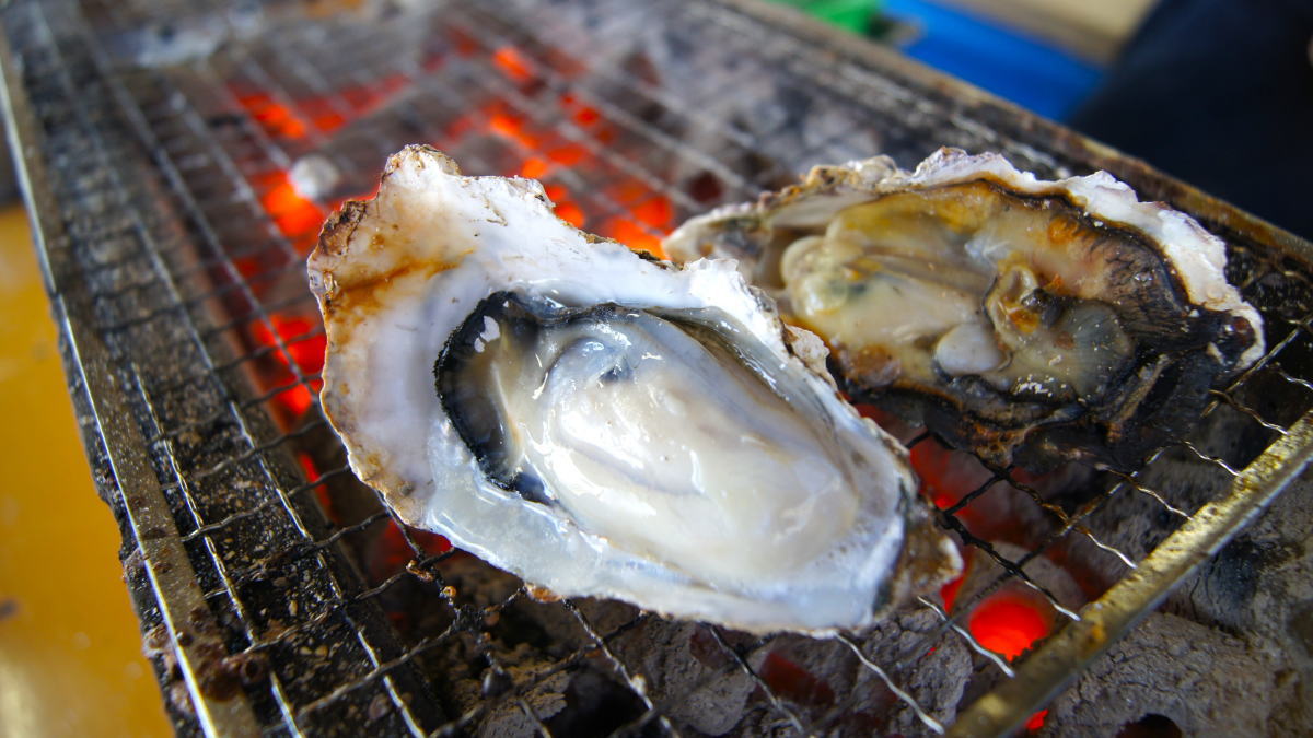 かき小屋2023ｰ2024シーズン到来、広島牡蠣を地元民も観光客も！