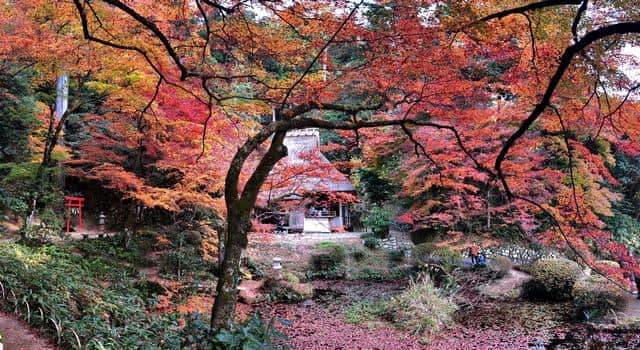 吉水園（広島県・安芸太田町）2023年の紅葉シーズン一般開放へ