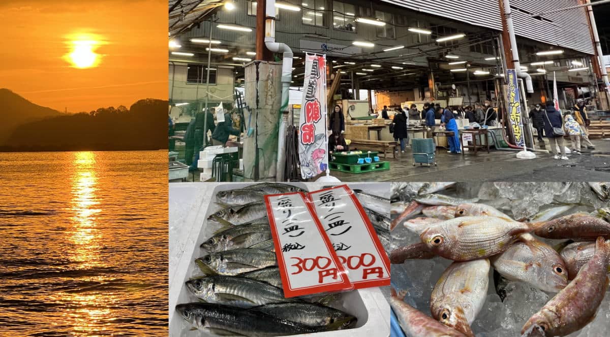 尾道ケンスイ朝市 魚市場で月2回のイベント、お魚詰め放題・模擬セリ・海鮮丼やマグロの解体ショーも！
