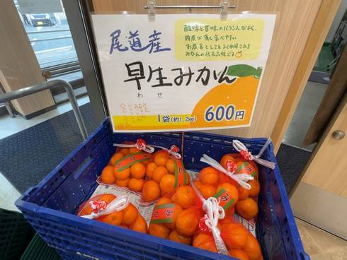 大浜パーキングエリア（大浜PA 下り線）の売店には柑橘の直売も