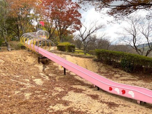 坂町 横浜公園 子供の国 遊具の写真 ローラースライダー