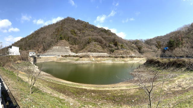 因島 奥山ダム湖の周りにもぜんぶ桜