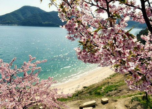 尾道市因島の桜スポット「船隠し公園」