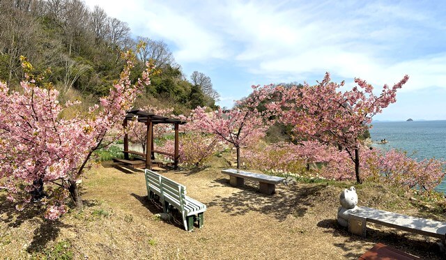 因島「船隠し公園」手作り公園、桜のお花見ができるベンチも