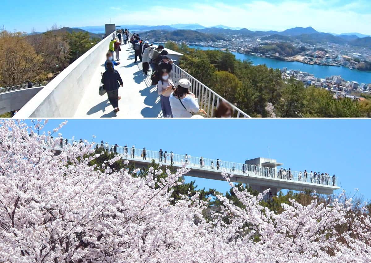 尾道・千光寺公園が桜のライトアップ開始、交通規制やシャトルバス・ロープウェイ延長運行も