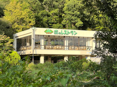 広島市植物公園、ネモフィラに囲まれて写真も撮れる！