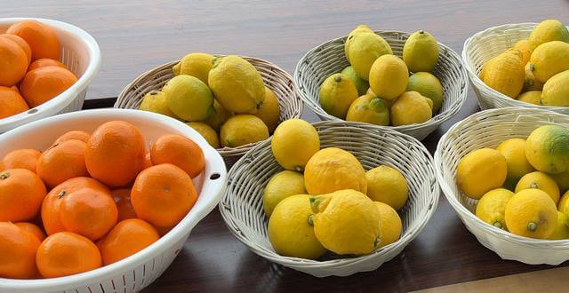 瀬戸田PA 下り線（しまなみ海道）でレモンや早生みかん等の地元産柑橘も
