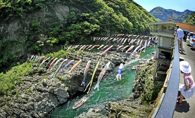 徳島県こいのぼりスポット「大歩危峡」