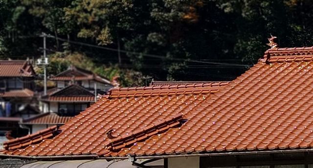 東広島・西条エリアの赤い屋根瓦は「石州瓦」