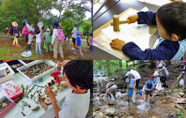 夏休みの自由研究にピッタリ！昆虫採集・生け花教室・工作塾など広島の自然に触れるイベント