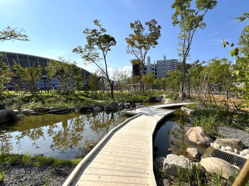 広島市中央公園広場 南側 ヒロパ ビオトープ