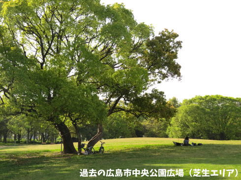 再整備前の広島市中央公園広場 芝生エリア 画像2