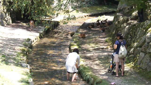 宮島で水遊びできるスポット