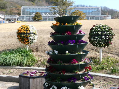 尾道因島フラワーセンター 園内の花たち2