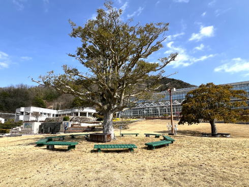 尾道因島フラワーセンター 園内のベンチ